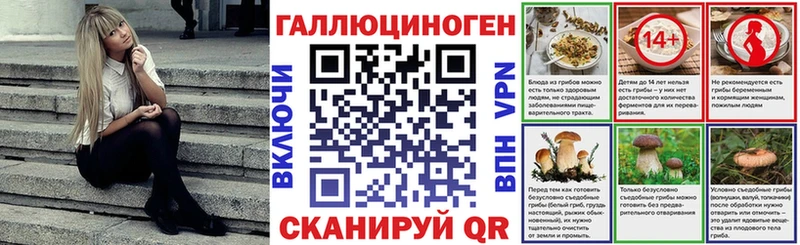 Галлюциногенные грибы Psilocybine cubensis  ОМГ ОМГ tor  Йошкар-Ола 
